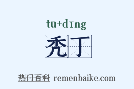 秃丁是什么意思的图片